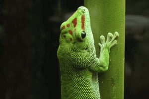 Bergen: Ticket de entrada al Acuario de Bergen