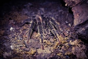 Bergen: Ticket de entrada al Acuario de Bergen