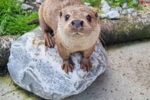Bergen: Ticket de entrada al Acuario de Bergen
