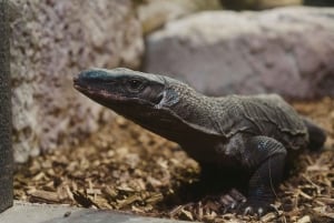 Bergen: Ticket de entrada al Acuario de Bergen