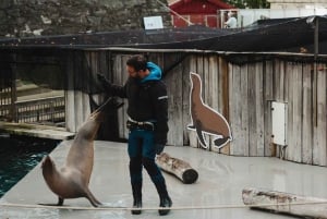 Bergen: Ticket de entrada al Acuario de Bergen