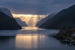 Bergen: Fiorde de Bergen em um barco Zodiac ou Pontoon