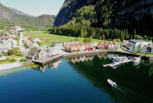 Bergen: Fiorde de Bergen em um barco Zodiac ou Pontoon