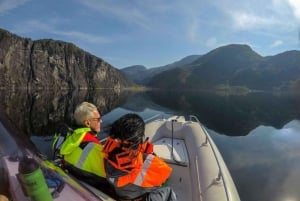 Bergen: Fiorde de Bergen em um barco Zodiac ou Pontoon