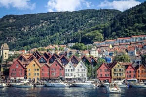 Bergen: lotnisko BGO do centrum miasta|Hotele Prywatny transfer