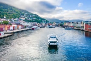 Bergen: lotnisko BGO do centrum miasta|Hotele Prywatny transfer