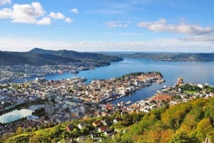 Bergen: BGO Airport to City Centre|Hotels Private Transfer