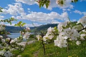Bergen: Lago Glaciar Bondhus no Parque Nacional Folgefonna