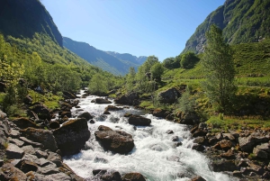 Bergen: Lago Glaciar Bondhus no Parque Nacional Folgefonna