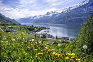 Bergen: Lago Glaciar Bondhus no Parque Nacional Folgefonna