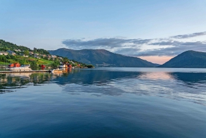 Bergen: Lago Glaciar Bondhus no Parque Nacional Folgefonna