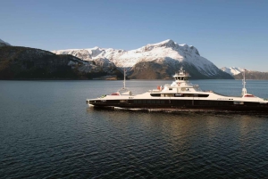 Bergen: Lago Glaciar Bondhus no Parque Nacional Folgefonna