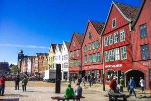 Bergen: Mostraumen fjordcruise, Fløyen, byrundtur