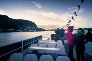 Bergen: Mostraumen fjordcruise, Fløyen, byrundtur