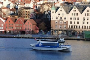 Bergen: Mostraumen fjordcruise, Fløyen, byrundtur