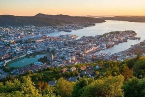 Bergen: Mostraumen fjordcruise, Fløyen, byrundtur