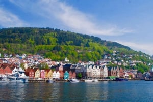 Bergen: Mostraumen fjordcruise, Fløyen, byrundtur