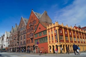 Bergen: Mostraumen fjordcruise, Fløyen, byrundtur