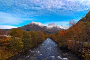 Bergen: Cruise to beautiful Rosendal by the Hardangerfjord