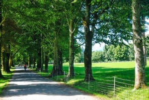 Bergen: Cruise til smukke Rosendal ved Hardangerfjorden