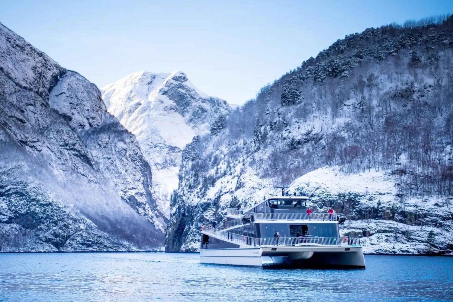 Bergen Day Winter Tour: Nærøyfjord Cruise, Flåm & Stegastein
