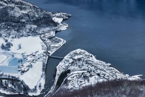 Bergen Day Winter Tour: Nærøyfjord Cruise, Flåm & Stegastein