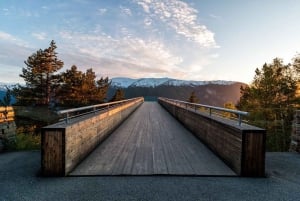 Bergen Day Winter Tour: Nærøyfjord Cruise, Flåm & Stegastein