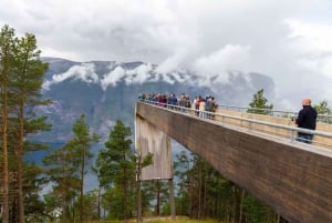 Bergen Day Winter Tour: Nærøyfjord Cruise, Flåm & Stegastein
