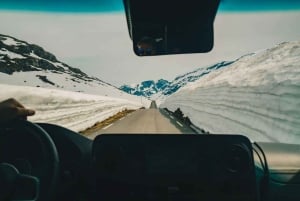 Bergen Day Winter Tour: Nærøyfjord Cruise, Flåm & Stegastein