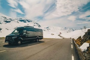 Bergen Day Winter Tour: Nærøyfjord Cruise, Flåm & Stegastein