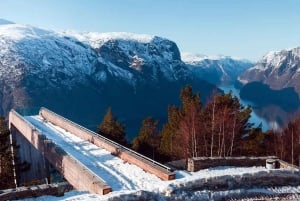 Bergen Day Winter Tour: Nærøyfjord Cruise, Flåm & Stegastein