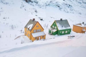 Bergen Day Winter Tour: Nærøyfjord Cruise, Flåm & Stegastein