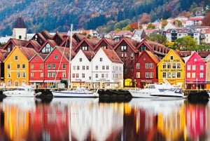 Bergen Evolution Private Tesla Tour: Iron Age to Modern life