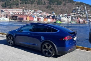 Bergen Evolution Private Tesla Tour: Iron Age to Modern life