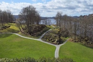 Bergen Evolution Private Tesla Tour: Iron Age to Modern life