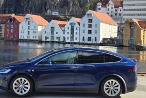 Bergen Evolution Private Tesla Tour: Iron Age to Modern life
