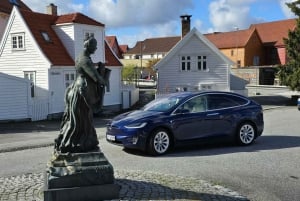 Bergen Evolution Private Tesla Tour: Iron Age to Modern life