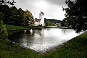 Bergen Evolution Private Tesla Tour: Iron Age to Modern life