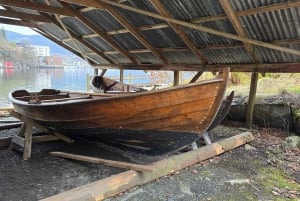 Bergen Evolution Private Tesla Tour: Iron Age to Modern life