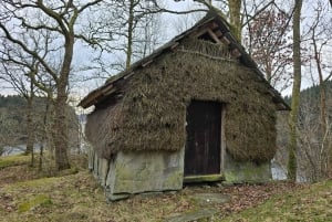 Bergen Evolution Private Tesla Tour: Iron Age to Modern life