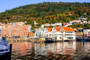 Bergen: Ekspresvandring med en lokal på 60 minutter