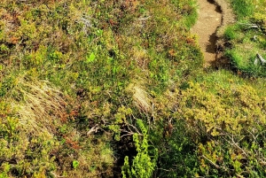 ベルゲン：フィヨルドハイキング