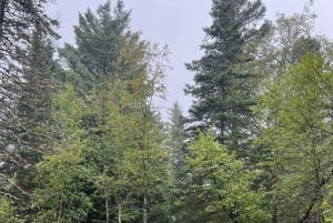 Volledige sauna-ervaring van top tot fjord ViFlowExperience