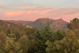 Volledige sauna-ervaring van top tot fjord ViFlowExperience