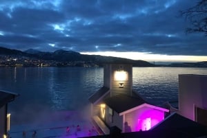 Volledige sauna-ervaring van top tot fjord ViFlowExperience