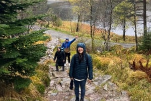 Volledige sauna-ervaring van top tot fjord ViFlowExperience