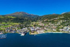 Bergen : fjord, cascades et tarte aux pommes – visite en bus