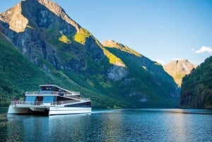 Bergen: tren de Flåm, crucero por Nærøyfjord y vistas de Stegastein