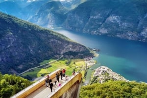 Bergen: tren de Flåm, crucero por Nærøyfjord y vistas de Stegastein