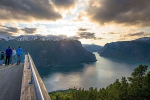 Bergen: tren de Flåm, crucero por Nærøyfjord y vistas de Stegastein